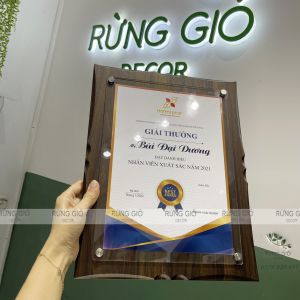 Bảng Vinh Danh A4 GỖ pha lê acrylic loại cao cấp cong họa tiết  - gỗ dày 1.5cm (để vừa giấy khen cỡ từ 21x30cm trở xuống), khung bằng khen A4