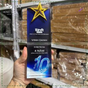 CÚP PHA LÊ NGUYÊN KHỐI KÈM HIỆU ỨNG IN NỀN