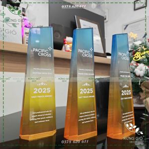 CÚP PHA LÊ NGUYÊN KHỐI HÌNH THANG VÁT - Kèm hiệu ứng in phối màu nền cho cup