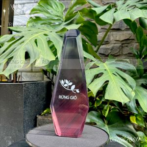 Kỷ niệm chương/cúp pha lê nguyên khối