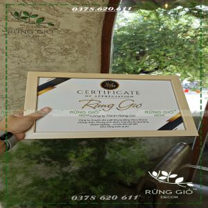 Khung bằng khen A4 kem hộp vân nhỏ