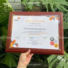 Bảng gỗ nâu gụ sang trọng – sử dụng cho giấy khen A4