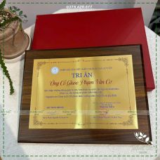 BẢNG GỖ TRI ÂN - VINH DANH - In mặt kim loại vàng BẢNG GỖ TRI ÂN - VINH DANH - In mặt kim loại vàng